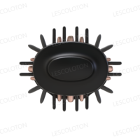 Sèche-cheveux 1600W Duet Blowdry 2 en 1 Bigoudis Brosses chaudes Redresser Duet Styler BLDC