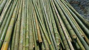 Fabricación de paquete de valla de poste de bambú con varias especificaciones de tamaño personalizado de los suministros del fabricante - Product Image 2