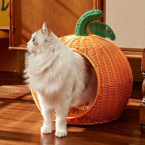 Cama para Mascotas de Ratán MÁS VENDIDA para Dormir, Descansar y Brindar un Confort Interior Confiable para el Hogar Diario, Vietnam - Product Image 6