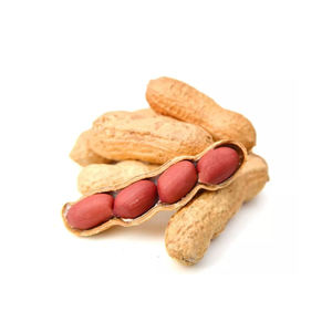 Arachides brutes de qualité supérieure sans coquille, cacahuètes brutes blanchies, moissonneuse d'arachides Agriculture - Product Image 6