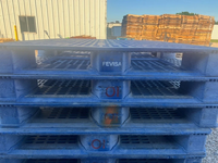 Palettes en plastique usagées 44x56 et palettes d'entrepôt en plastique vert à vendre