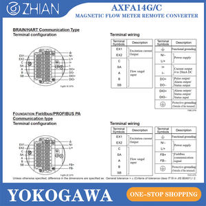 Uzaktan dönüştürücü gelişmiş manyetik akış ölçer ile <span class=keywords><strong>Yokogawa</strong></span> AXFA14G/C elektromanyetik debimetre - Product Image 6