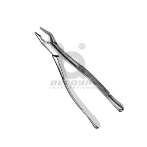 Fórceps de retención apical Instrumento de extracción dental profesional Fórceps de retención apical Fórceps de acero inoxidable de alta calidad - Product Image 3