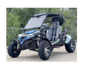 Nouveau kart tout-terrain TrailMaster Trailmaster Cheetah 200EX EFI - Product Image 1