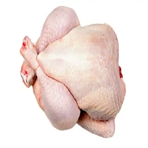 ไก่แช่แข็งฮาลาลจากบราซิลได้รับการรับรอง HACCP ไก่แช่แข็ง iqf mjw ไก่แช่แข็งเพื่อส่งออกไปยังประเทศจีน - Product Image 6