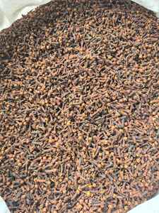 Clous de girofle séchés de haute qualité, qualité AB, provenant de l'île des épices de Sulawesi, en sacs PP de 25 kg, Global Agro Komoditi au meilleur prix - Product Image 3