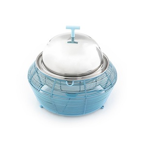 Plat de service en acier inoxydable et en fer en vrac pour restaurant et hôtel vaisselle casserole plat de service - Product Image 2