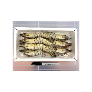 Camarones tigre negros de alta demanda ofrecidos a precios de mayoreo para mercados de mariscos - Product Image 2