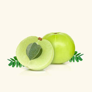 Organic Amla Oil for Damaged Hair Moisturizing and Smoothing Vegan Coconut Oil <b>Infused</b> with Ginger <b>Tea</b> Tree Oil for Curly Hair - Product Image 2