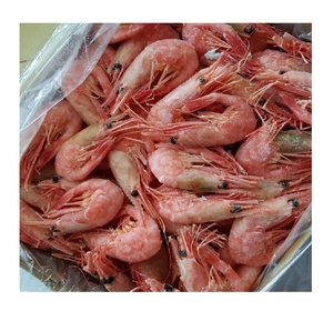 Camarones de Agua Fría Congelados Frescos de Primera Calidad, Tamaño Grande, Proveedor de Exportación de Mariscos Sostenibles - Product Image 1