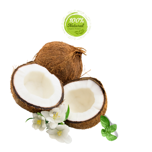 มะพร้าวแห้งช่วยเพิ่มรสชาติในผลไม้แช่แข็ง-ผลิตภัณฑ์ทางการเกษตรระดับพรีเมี่ยม - Product Image 4