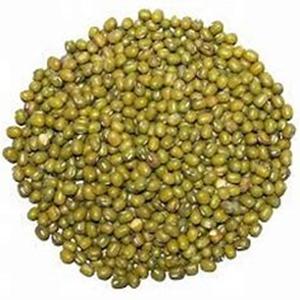 Lentilles vertes biologiques naturelles séchées en vente en gros - Product Image 2