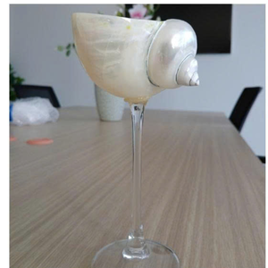 Coquillages naturels mélangés en vrac pour les événements sur le thème de l'océan, la fabrication de bougies et la décoration personnalisée. - Product Image 4