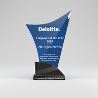 Trophée en acrylique poli de haute qualité, durable, gravé en relief, imprimé en typographie, pour récompenses d'entreprise, reconnaissance des employés, formation