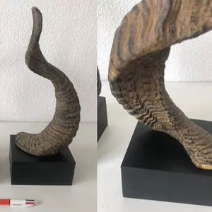 Tasse à corne à boire Viking authentique Divit | Chope à corne de bière médiévale authentique | Tasse à corne/Stein d'une capacité de 24oz. (Jarl, Poli) - Product Image 2