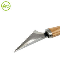 Couteau à graver et à découper les fruits en acier inoxydable de qualité alimentaire, manche en bois, ambidextre, finition polie, durable