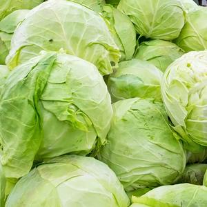 Chou Vert Frais Biologique à Vendre Qualité Premium Fournisseur Direct de la Ferme Vente en Gros Livraison Rapide Choix Sain - Product Image 5