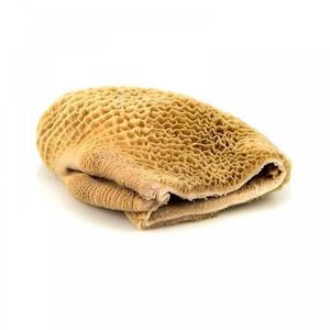 Affordable halal beef tripe exporters Halal beef tripe wholesale suppliers - Product Image 5