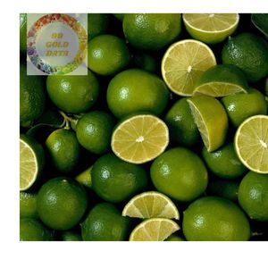 PREMIUM EXPORTATION FRAIS SANS GRAINES LIME VIETNAM FRUIT VERT MEILLEUR PRIX FOURNISSEUR POUR LE MARCHÉ MONDIAL - Product Image 6