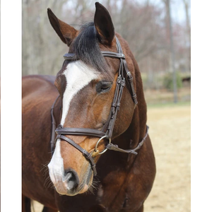 Fabricant Bride en cuir souple roulé bride brevetée - Product Image 3