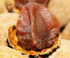 LYCHEE SECADO AL SOL/PURAMENTE EMPAQUETADO/ORIGEN DE LA PLANTA/SIN ADITIVOS - Product Image 5