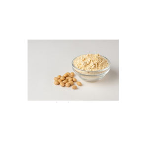 Ultra-Pure Soya <b>Extract</b> Powder 100% Plant-Based, Gluten-Free, and Nutrient-Rich Superfood for Holistic Health and Well-Being - Product Image 1