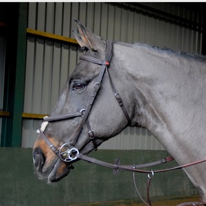 Bride mexicaine prête à rouler Bride en cuir occidental de haute qualité Headstall Cowboy Rawhide Tressé Noseband réduction de poids - Product Image 6