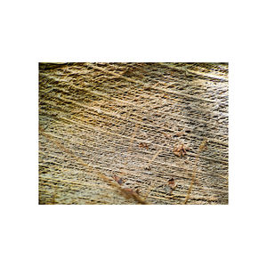 Fibra de Coco Procesada adecuada para geotextiles y compostaje - Product Image 2