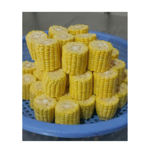 MAÍZ DULCE ENTERO IQF NATURAL GOLD DATA CON LOGO PERSONALIZADO, MEJOR PRECIO A PARTIR DE 99, CONGELADO/AL VAPOR, GRANOS DE MAÍZ DULCE EN PAQUETES DE 1KG/500G - Product Image 3