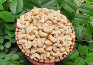 เม็ดมะม่วงหิมพานต์สดบริสุทธิ์ - Product Image 4