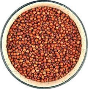 Sorgho blanc de qualité supérieure, origine Pays-Bas, 60% sans OGM, nourriture sèche pour oiseaux de haute qualité, durée de conservation de 24 mois - Product Image 1