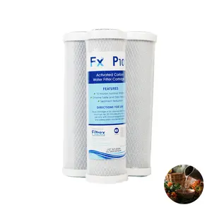 High quality brands FX CTO 10" activated carbon block Water filter feature cartridge for Rinsing paintbrushes