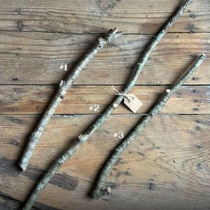 HerboGate Aromatherapy Miswak Sticks-Natural Cinnamon Herbal Earthy Scents Cleanses Strengthens Gums Vacuum Packed Sensory - Product Image 5