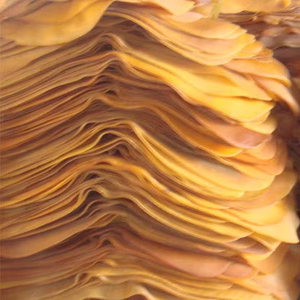 แผ่นรมควันมีโครง RSS4มาตรฐานเวียดนามที่ทนต่อสภาพอากาศทำจากยางธรรมชาติคุณภาพสูงจากผู้จัดจำหน่ายในเวียดนาม - Product Image 1