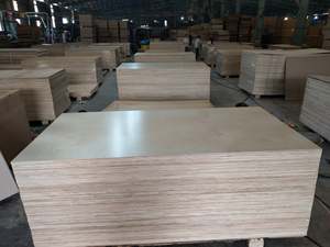 Venta directa de fábrica Acacia/Eucalyptus Core Birch Face LVL Contrachapado Precio barato Calidad garantizada para exportación mundial - Product Image 2