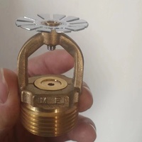 Buse de pulvérisation Eternalspraynozzle ZSTK de type ouvert, accessoires pour équipement de lutte contre l'incendie, raccords DN15-25, pour sprinklers d'incendie