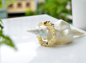 เครื่องประดับสร้อยข้อมือเปลือกหอยอินเทรนด์เพื่อการส่งออก - คําพูดแฟชั่นที่มีความต้องการสูง - Product Image 2