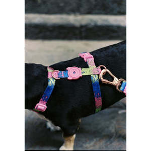 Melted H-<b>Harness</b> Reflective Striped Pet <b>Harness</b> <b>Medium</b> Small XL XS Polyester Personalized Stylish Buckles for <b>Dog</b> Cat Walking - Product Image 3