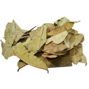 POLVO DE HOJA DE GUANABANA SECA-CALIDAD PREMIUM-EXPORTACIÓN DESDE VIETNAM - Product Image 3