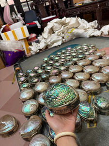 Exclusivo Joyero Iridiscente Arcoíris, Concha de Abulón Natural Madreperla, Incrustaciones de Níquel Real de Lujo, Regalo Significativo para Mujeres - Product Image 6