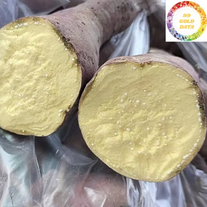 Suministro a granel de batata congelada de Vietnam a precio asequible - Product Image 6