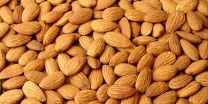 Prix de gros des amandes en Californie Noix d'amandes à gros grains biologiques - Product Image 4