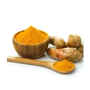 Almidón de cúrcuma modificado pregelatinizado con superficie lisa Extracto de cúrcuma pura Curcuma Longa Raíz de cúrcuma