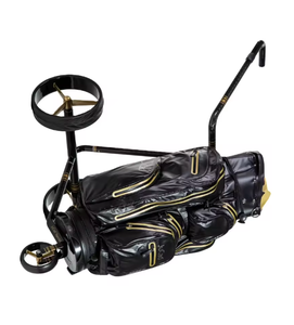 Voiturette de golf électrique Jucads 2.0 Carbon avec batterie au lithium, fonction poussée, offres spéciales pour les voyages, chariots de golf - Product Image 3