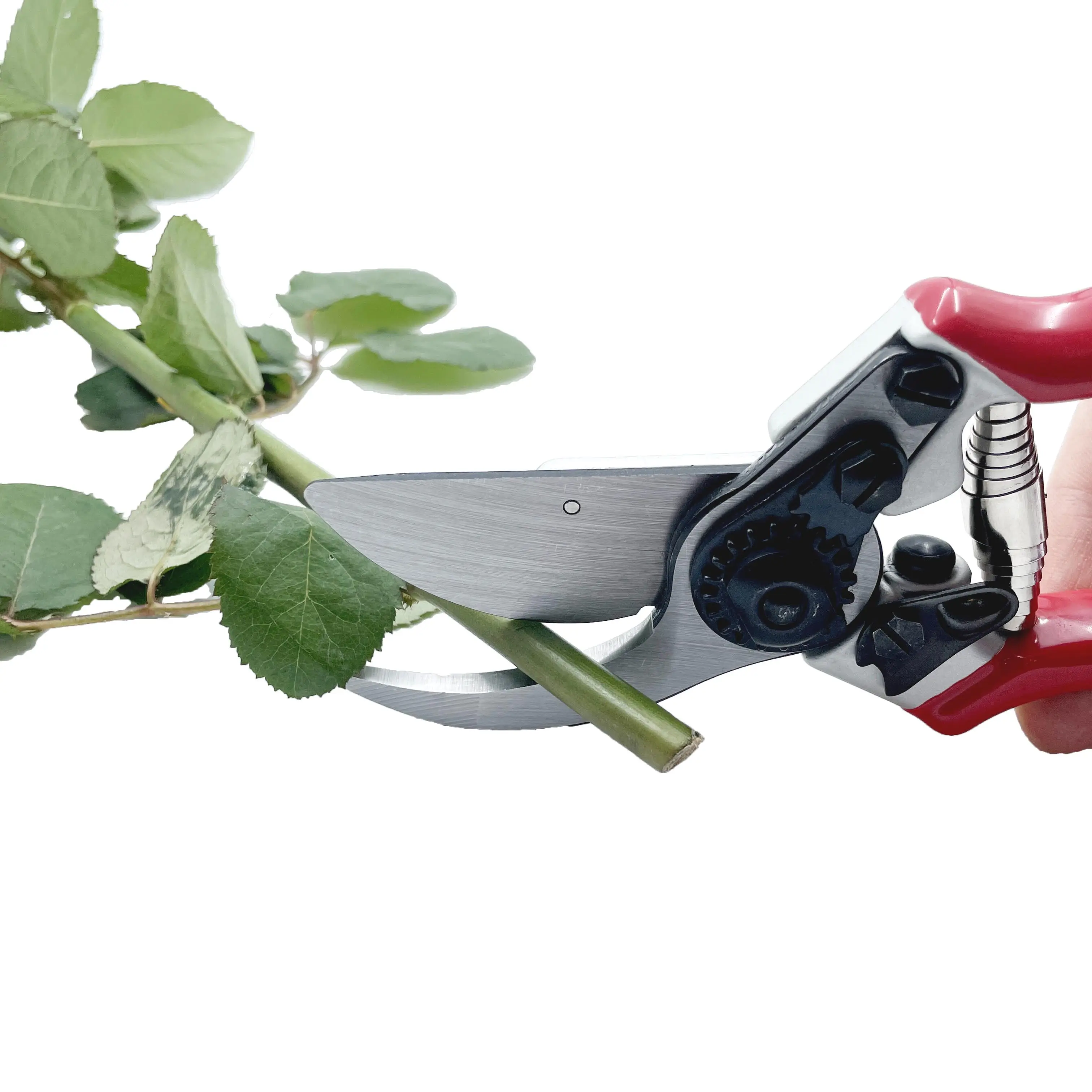 Aluminum Alloy Pruning Shears for Cutting Branches of Bonsai