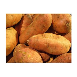<b>Fresh</b> <b>Sweet</b> <b>Potato</b> For Sale At Low Price High Quality <b>Sweet</b> <b>Potatoes</b> Available In Bulk For Export Wholesale Fast Delivery - Product Image 2
