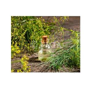 Exporting Top Quality Wholesale Selling 100% Pure and Organic <b>Dill</b> <b>Seed</b> Essential Oil for Sale At Low Price - Product Image 2