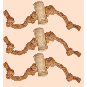 Viet Nam café bois bâtons à mâcher 100 pièces quantité minimale de commande bâtons de canne à sucre café bois et noix de coco corde avec corde dans l'emballage en Carton - Product Image 6