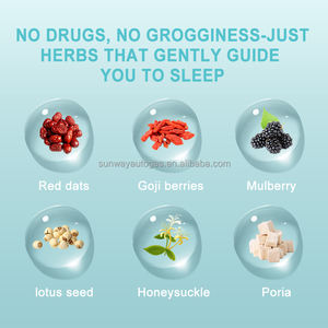 Natuurlijke Kruiden Diepe Slaap Thee Bevordert Een Snelle Slaap En Verlicht Vermoeidheid Stress En Slaap Theezakjes Bedtijd Kalmerende Thee - Product Image 2