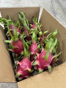 FRUTA DE DRAGÓN PURA Y FRESCA DE VIETNAM/EXÓTICA, VIBRANTE Y RELLENA DE SABOR - Product Image 5